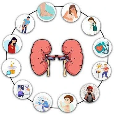 Kidney Disease Symptoms